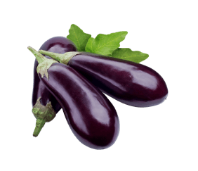 eggplant