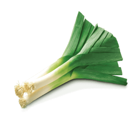 leek